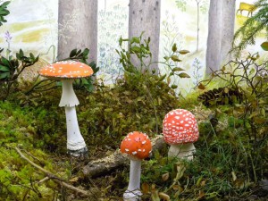 Foreste, Uomo, Economia nel Friuli Venezia Giulia