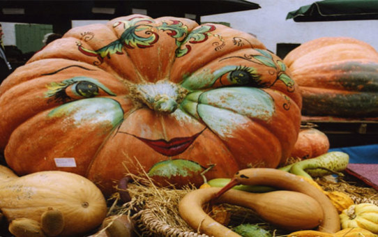 festa della Zucca