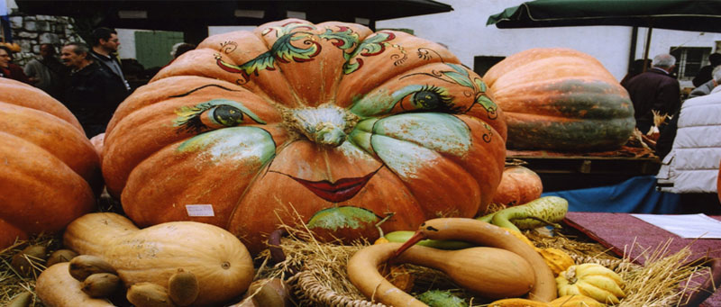 festa della Zucca